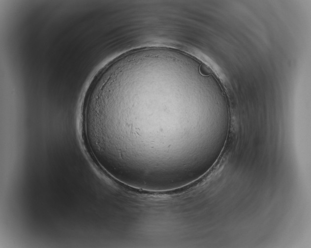 X0000102521136200808151527