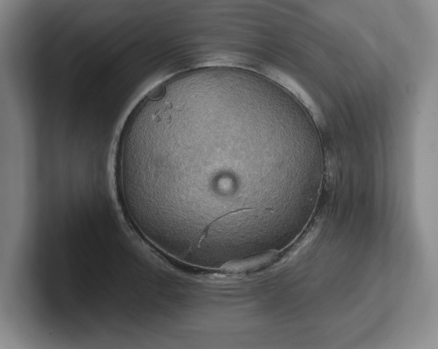 X0000102521138200808151527