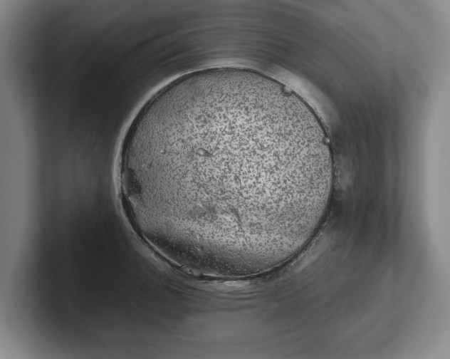 X0000102521140200808151527