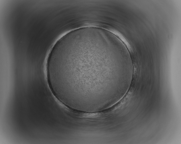 X0000102521143200808151527