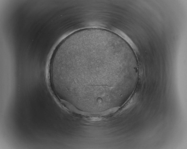 X0000102521144200808151527