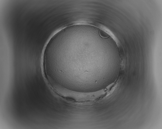 X0000102521146200808151527