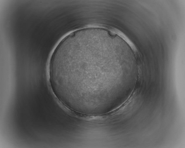 X0000102521148200808151527