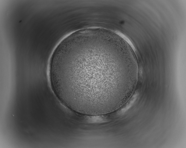 X0000102521149200808151527