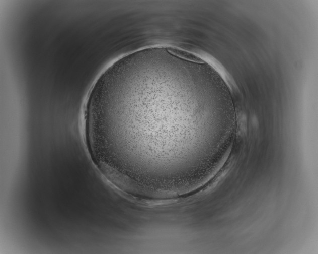 X0000102521151200808151527