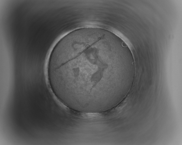 X0000102521152200808151527