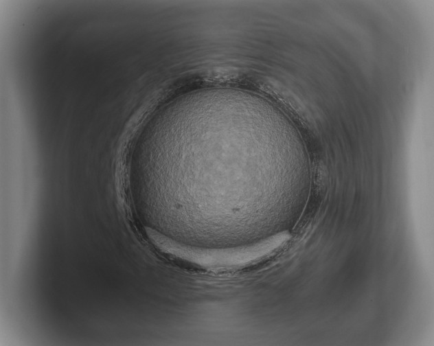 X0000102521153200808151527