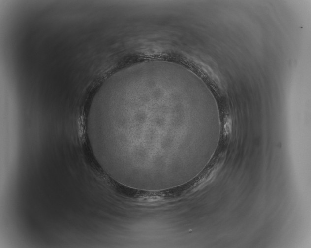 X0000102521156200808151526