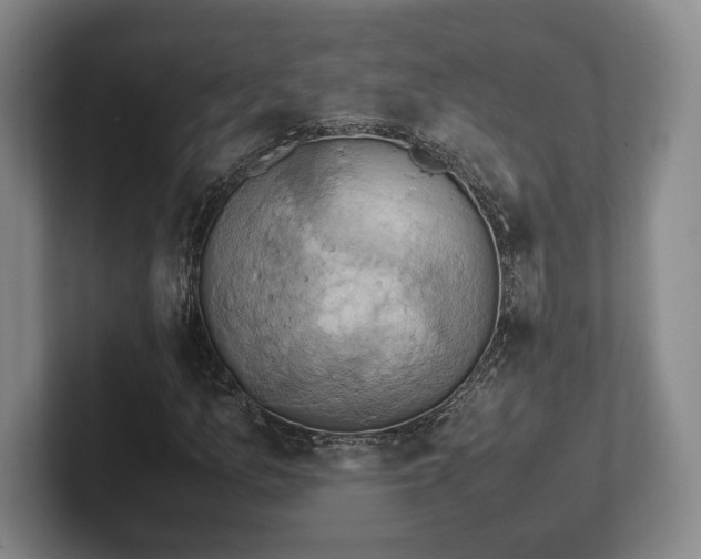 X0000102521157200808151526