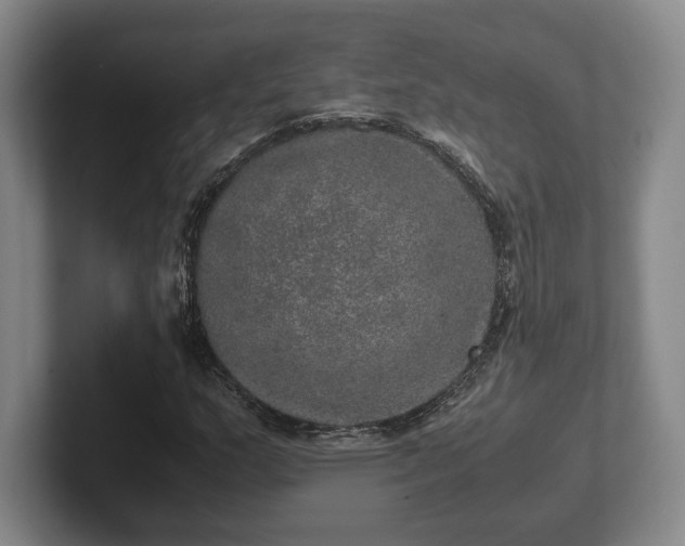 X0000102521159200808151526