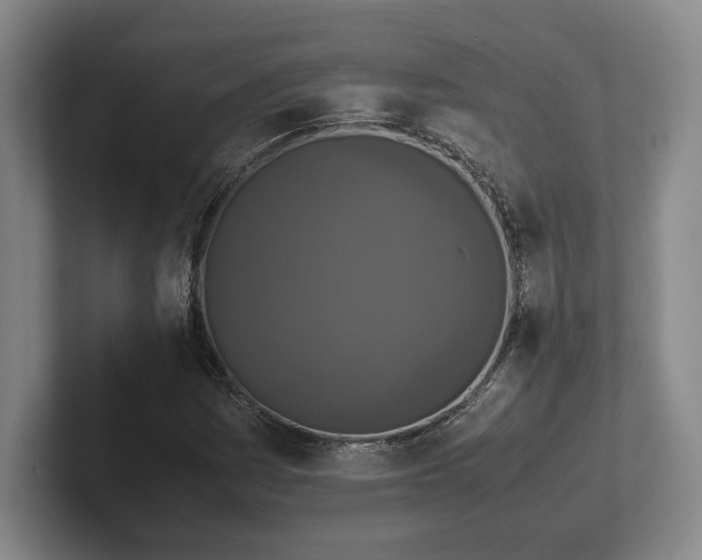 X0000102521161200808151526