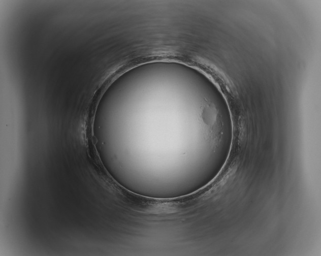 X0000102521162200808151526