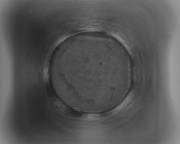 X0000102521163200808151526