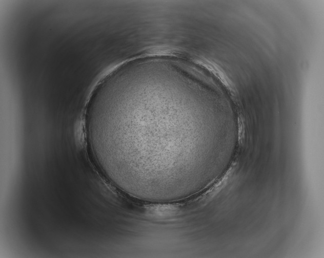 X0000102521164200808151526