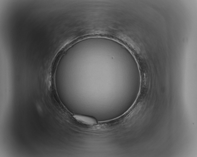 X0000102521165200808151526