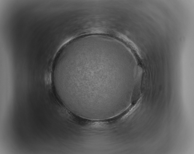 X0000102521166200808151526