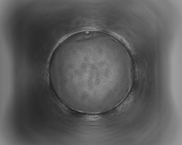 X0000102521168200808151526