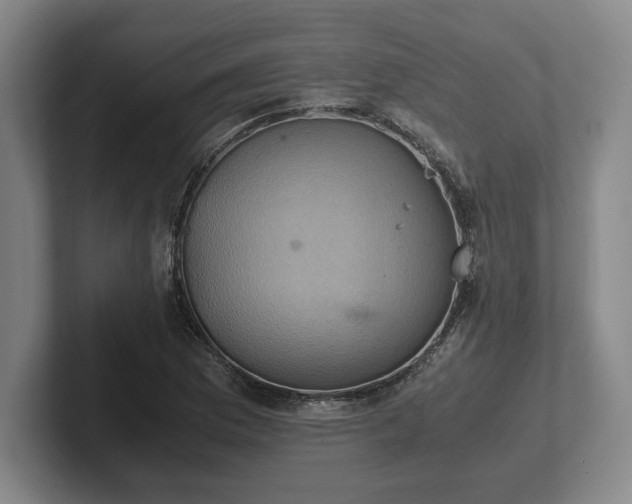 X0000102521169200808151526