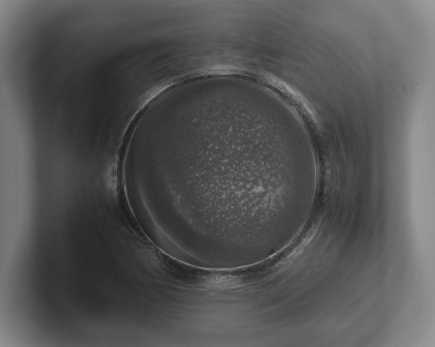 X0000102521170200808151526