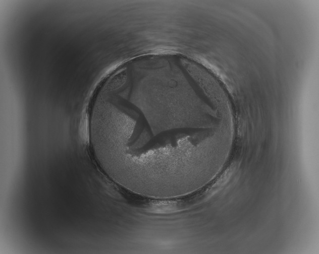 X0000102521171200808151526