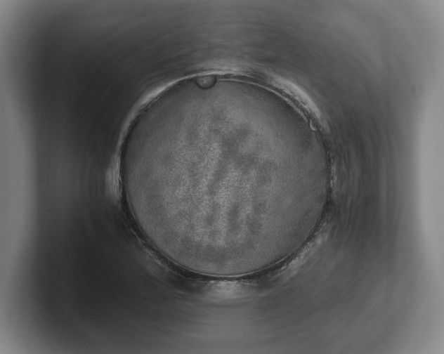 X0000102521172200808151526