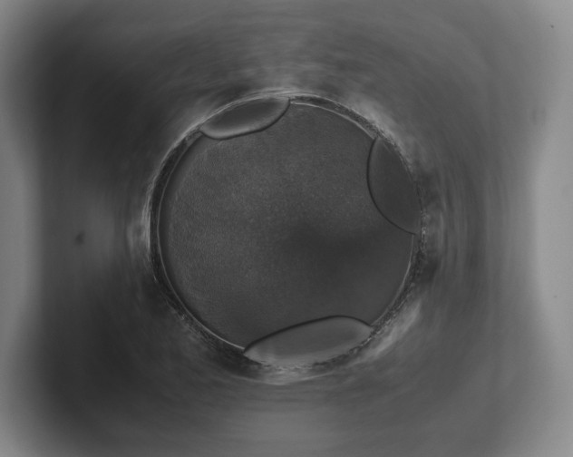 X0000102521173200808151526