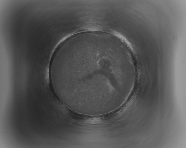 X0000102521174200808151526