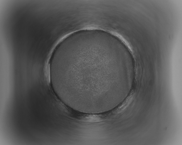 X0000102521175200808151526