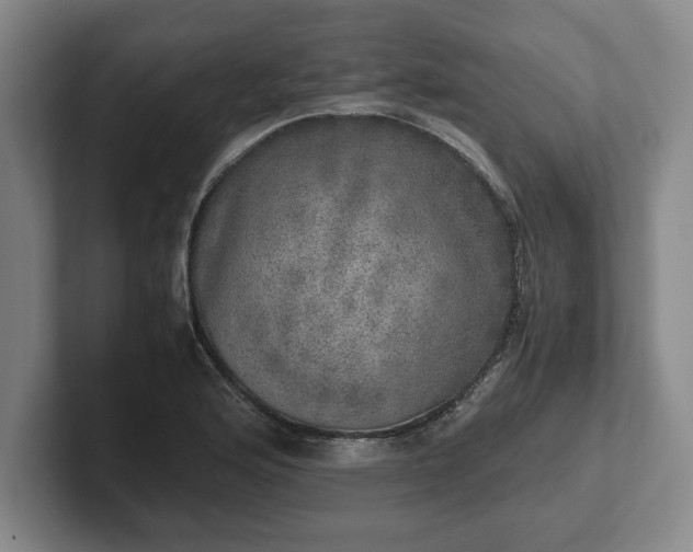 X0000102521176200808151526