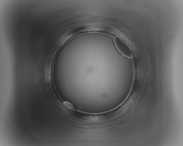 X0000102521177200808151526