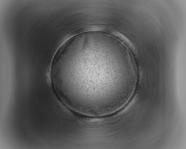 X0000102521178200808151526