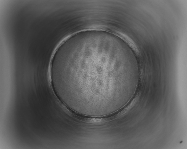 X0000102521180200808151526