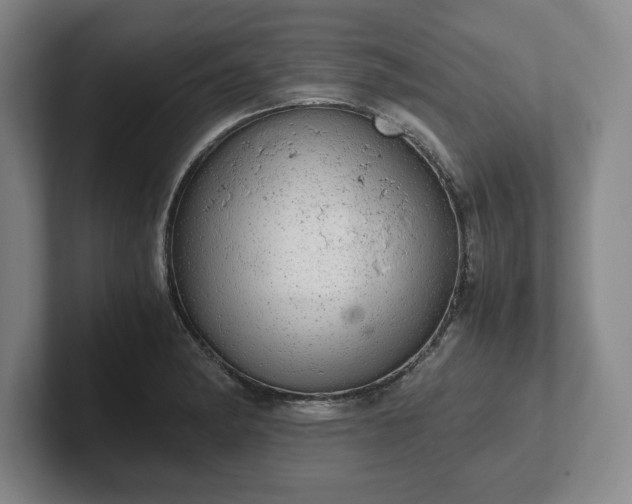 X0000102521182200808151526