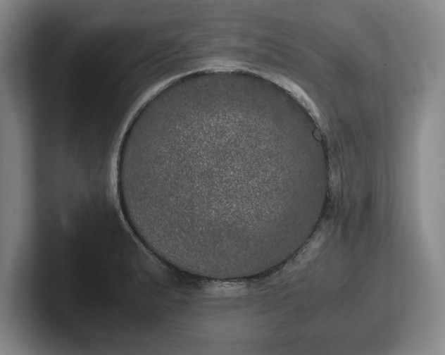 X0000102521183200808151526