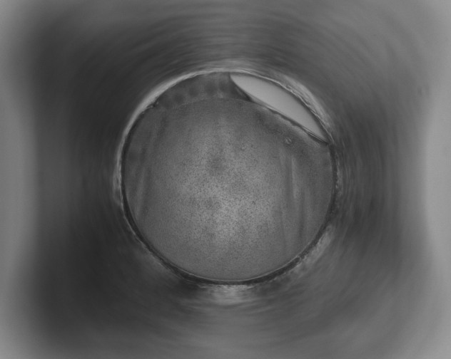 X0000102521184200808151526