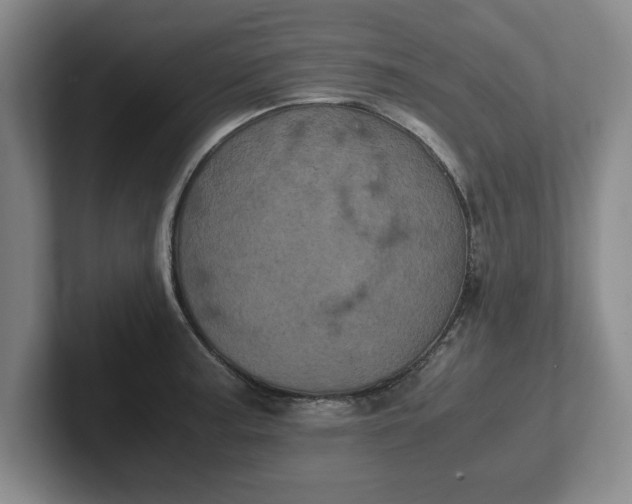 X0000102521187200808151526