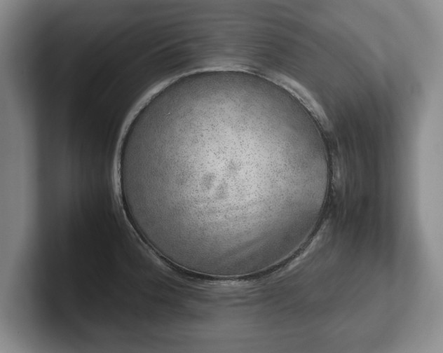 X0000102521188200808151526