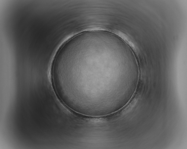 X0000102521189200808151526