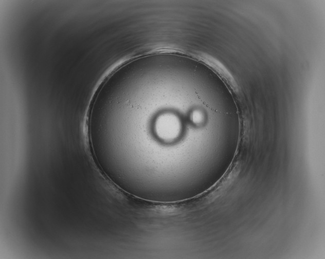 X0000102521190200808151526