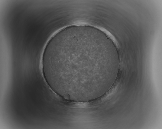 X0000102521191200808151526