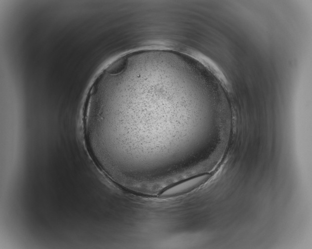 X0000102521192200808151526