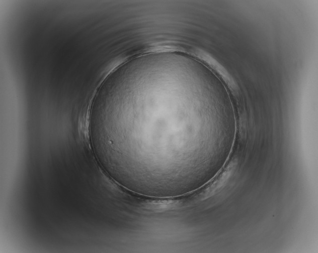 X0000102521193200808151526