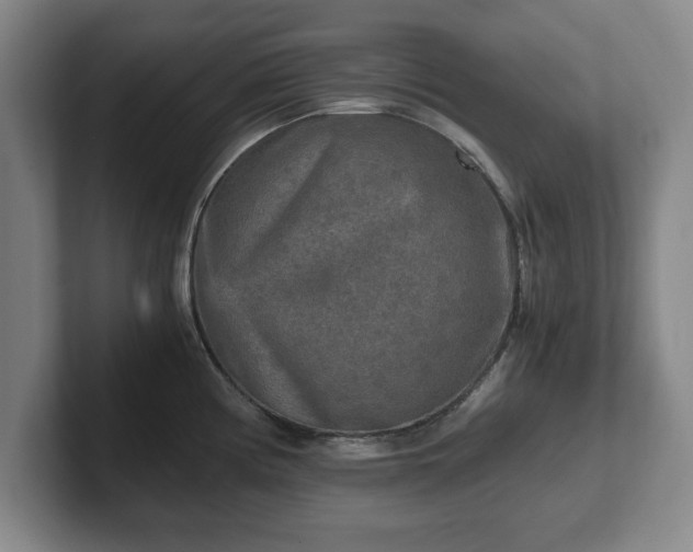 X0000102521194200808151526