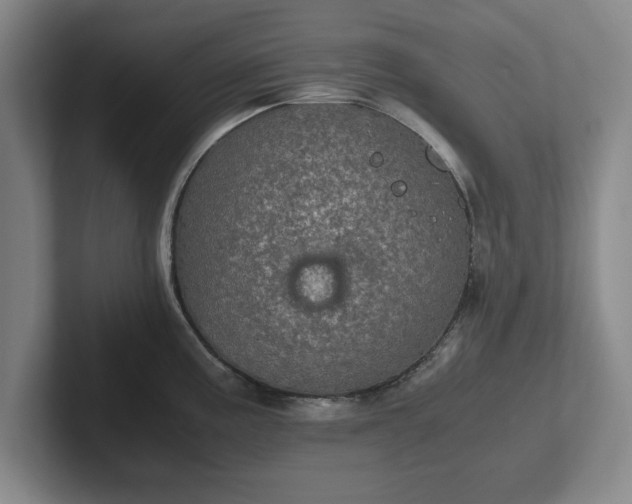 X0000102521195200808151526