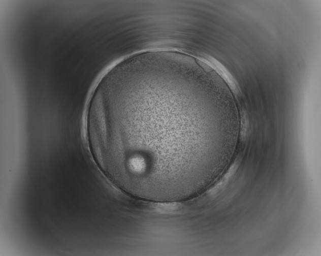 X0000102521196200808151526