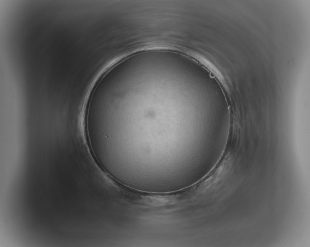 X0000102521197200808151526