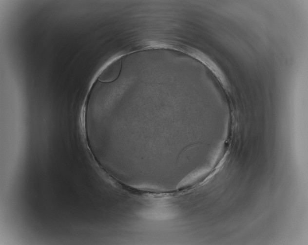 X0000102521198200808151526