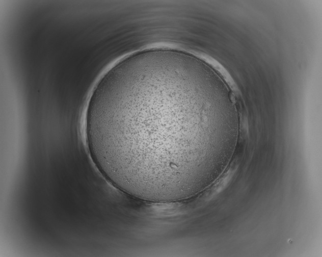 X0000102521199200808151526