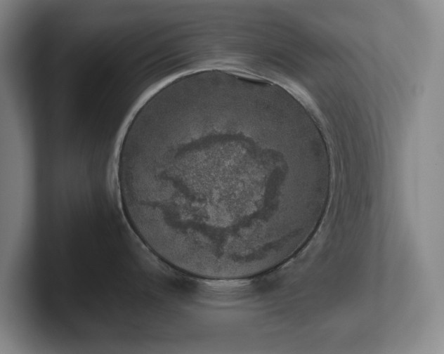 X0000102521200200808151526