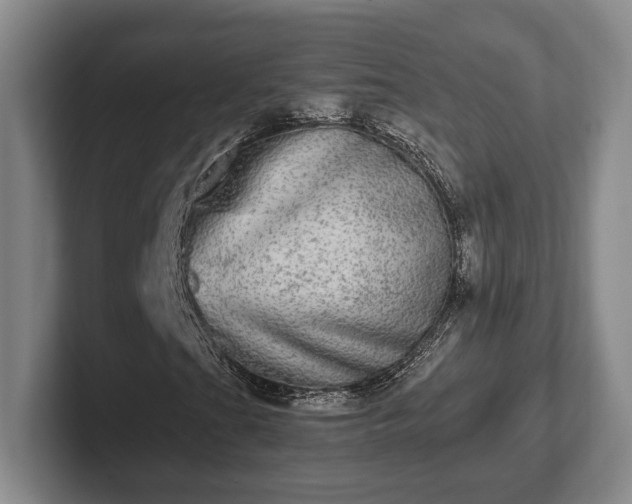 X0000102521201200808151525